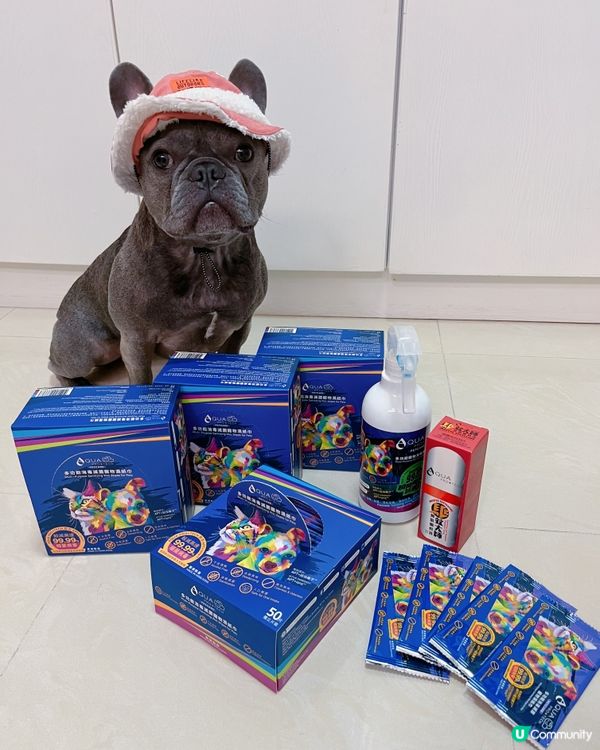 狗狗每日一清潔💕