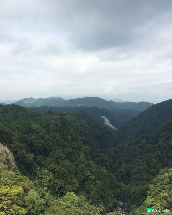 九重夢吊橋打卡