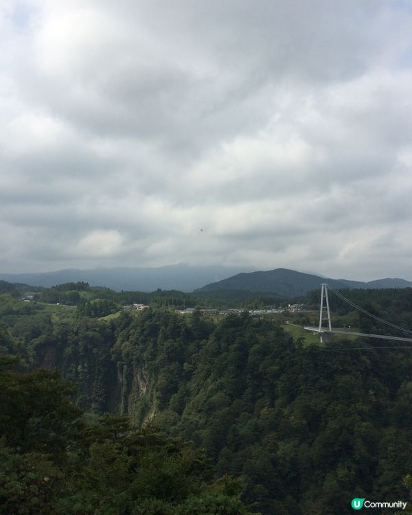 九重夢吊橋打卡