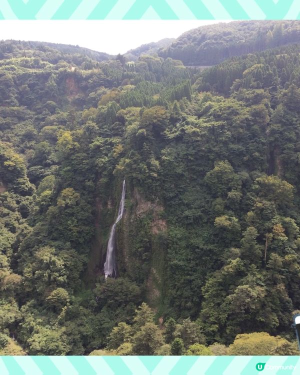 九重夢吊橋打卡