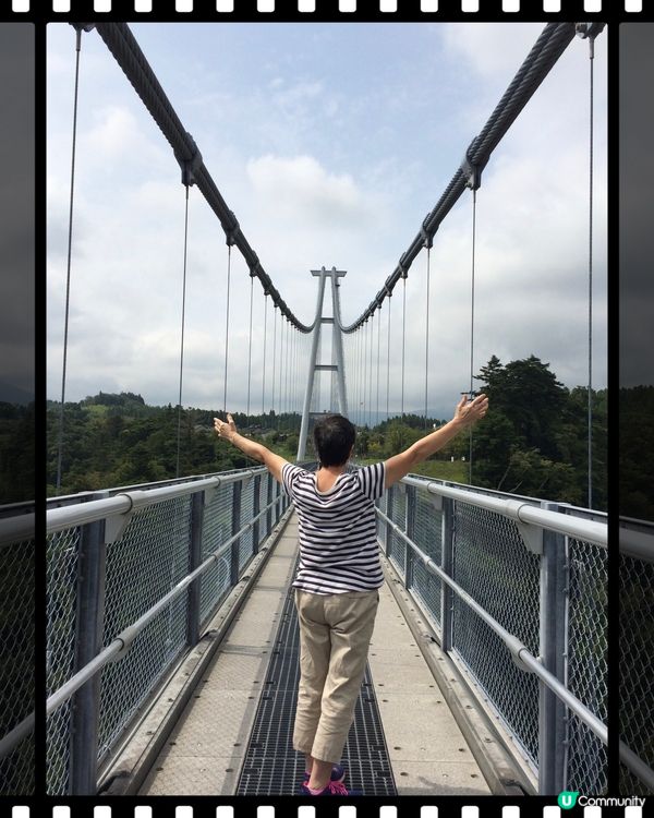 九重夢吊橋打卡