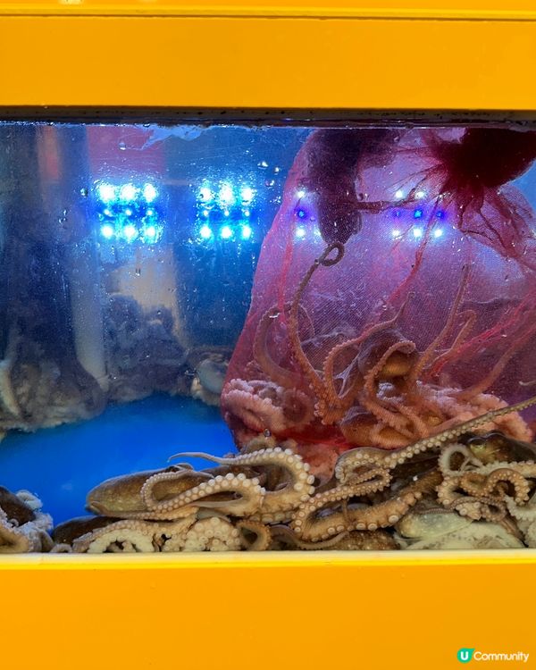 韓國首爾旅行必去！