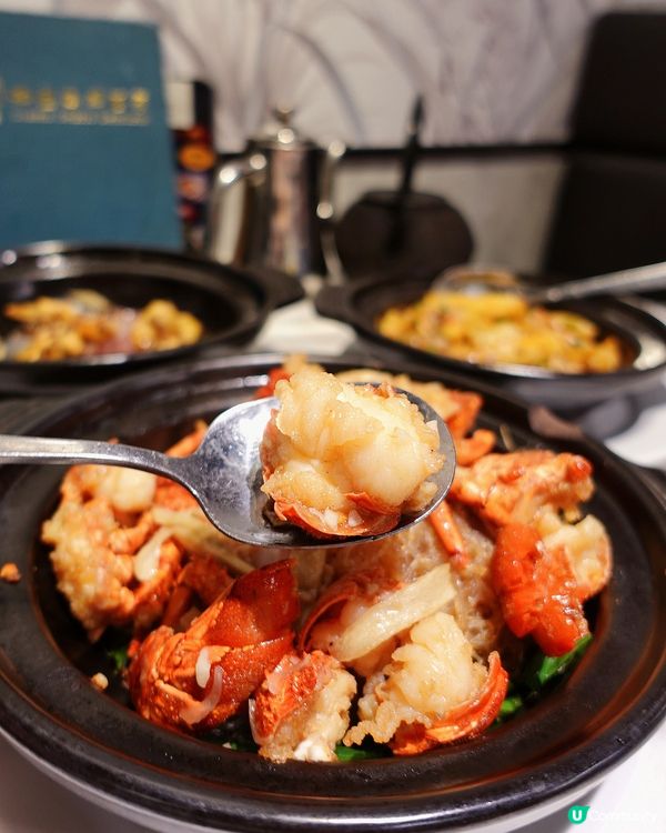 🪔神燈必吃🥢南非鮑魚啫啫雞🦆黑松露玻璃燒鵝