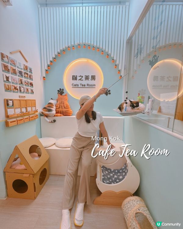 📍旺角｜懶洋洋之貓生很累🐱🫧