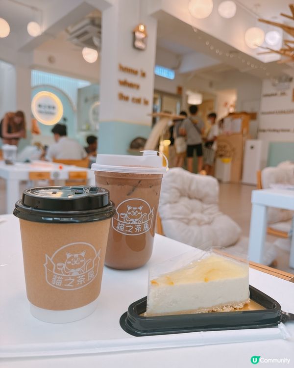 📍旺角｜懶洋洋之貓生很累🐱🫧