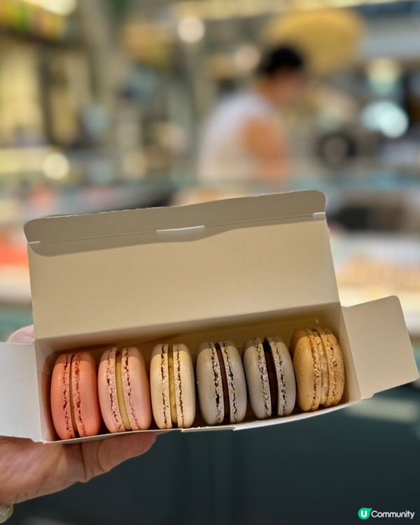 悉尼必食macarons