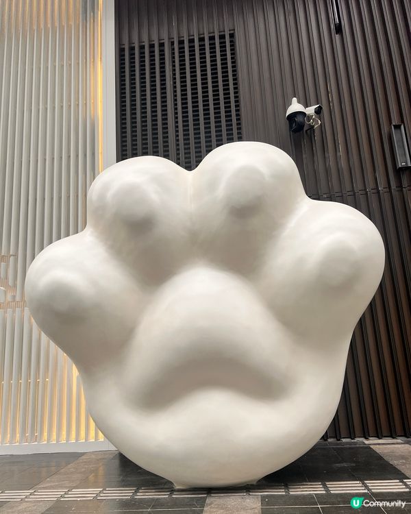 貓奴至愛😻貓展去到十月尾咋