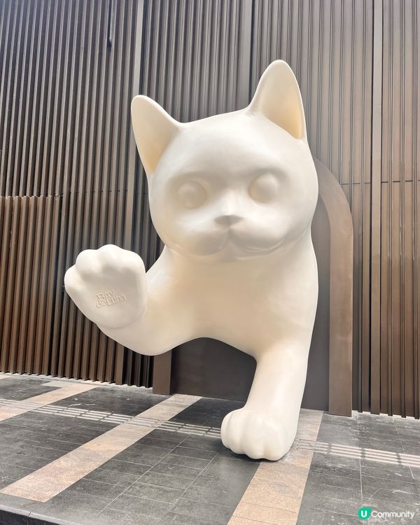 貓奴至愛😻貓展去到十月尾咋