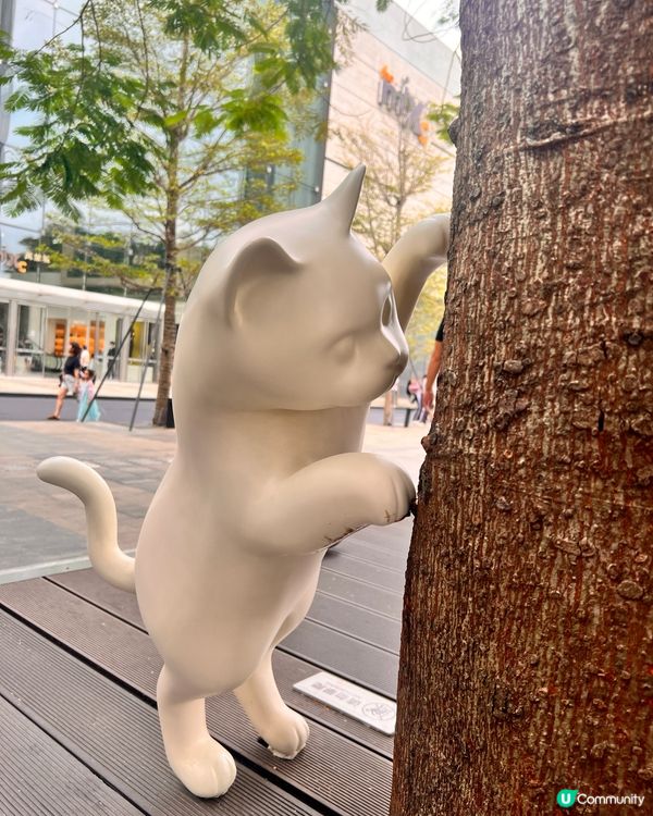 貓奴至愛😻貓展去到十月尾咋