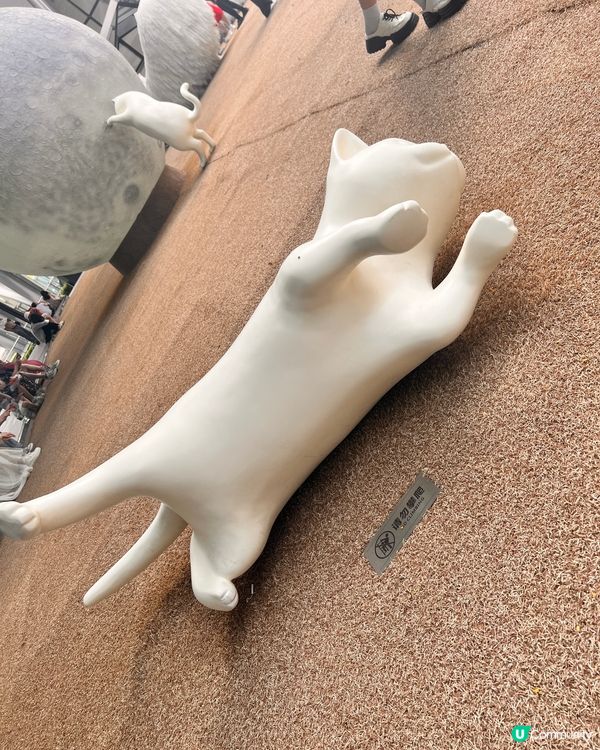 貓奴至愛😻貓展去到十月尾咋