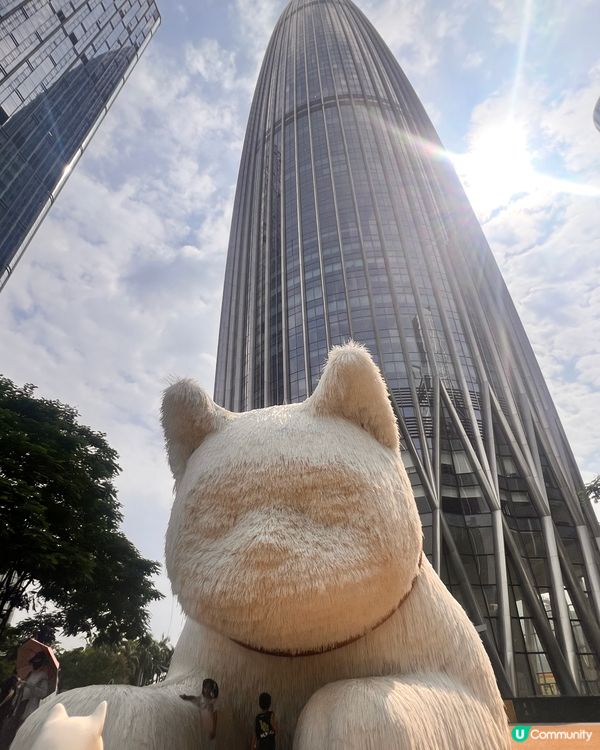 貓奴至愛😻貓展去到十月尾咋