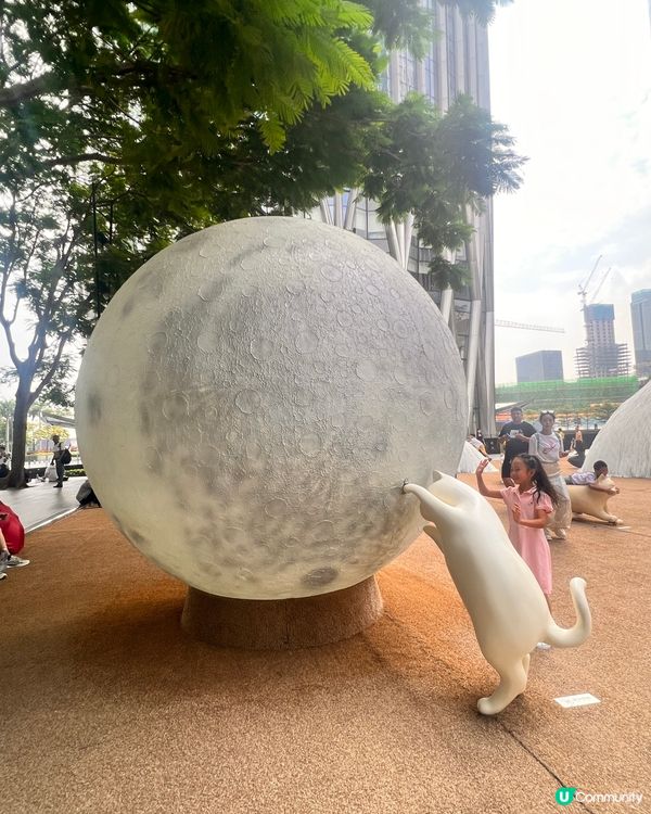 貓奴至愛😻貓展去到十月尾咋