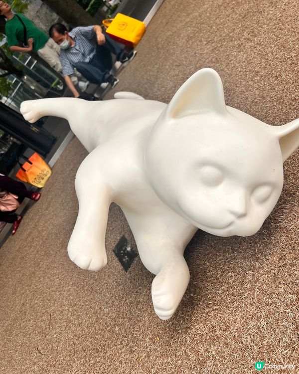 貓奴至愛😻貓展去到十月尾咋