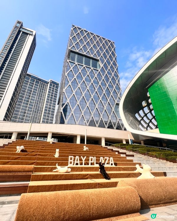 貓奴至愛😻貓展去到十月尾咋