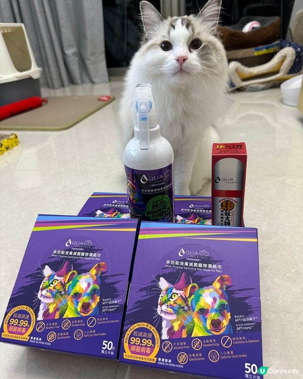 寵物優良毛範生，Taro 同 Waffle 嚟啦❤️