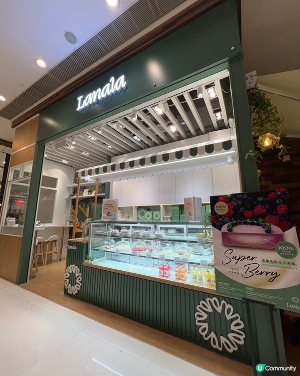 《希臘乳酪芝士蛋糕》