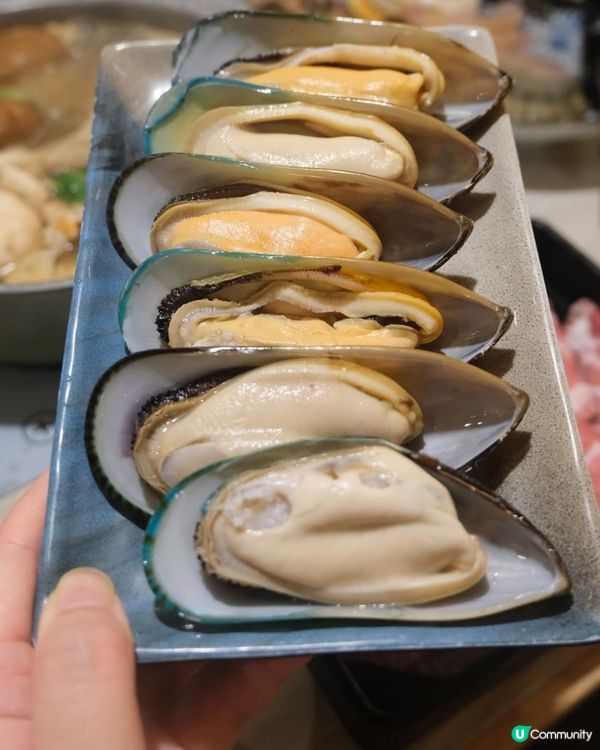 和牛、鮑魚、青口海鮮任食火鍋！