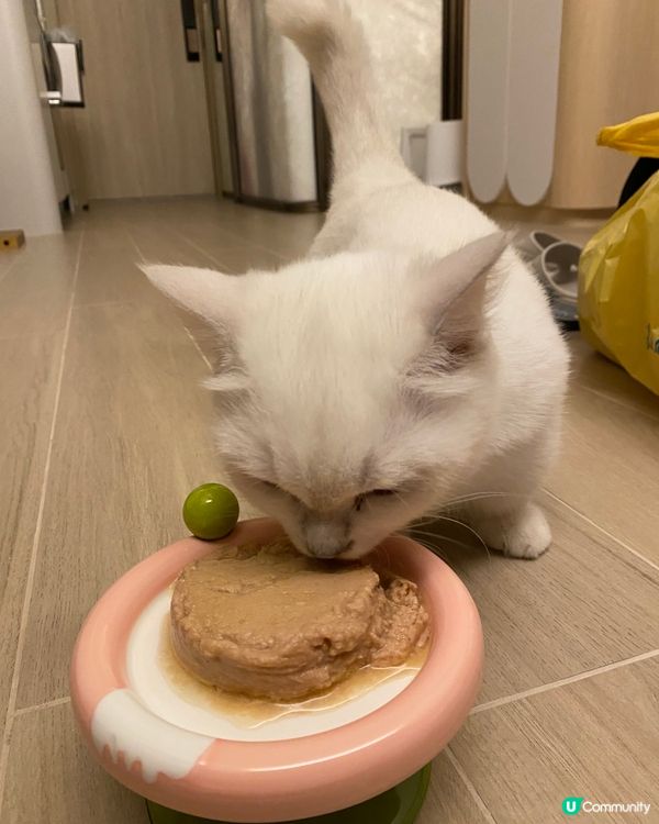 MayMay大愛: 怪獸部落寶寶罐(雞肉味）