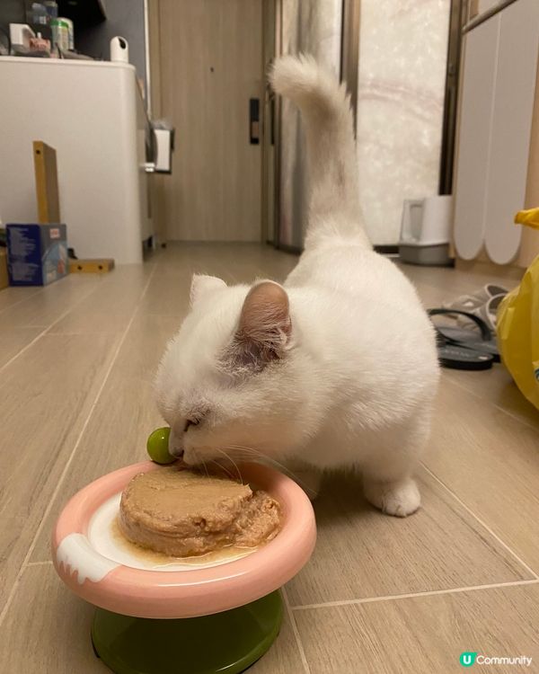 MayMay大愛: 怪獸部落寶寶罐(雞肉味）