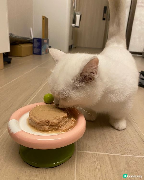 MayMay大愛: 怪獸部落寶寶罐(雞肉味）