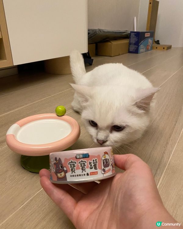 MayMay大愛: 怪獸部落寶寶罐(雞肉味）