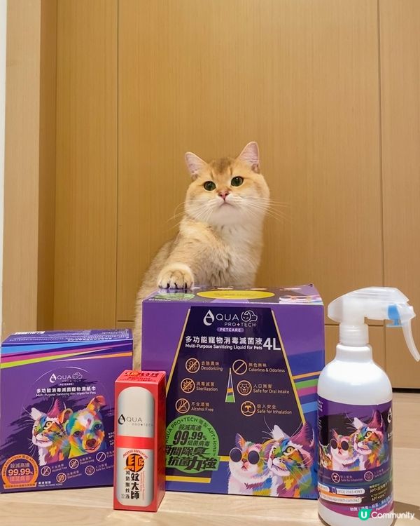 🏆傑出「毛」範生