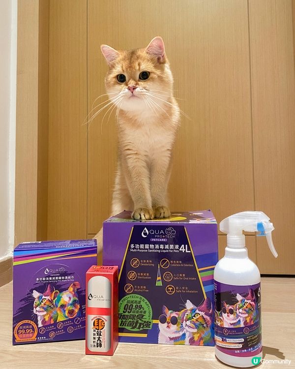 🏆傑出「毛」範生