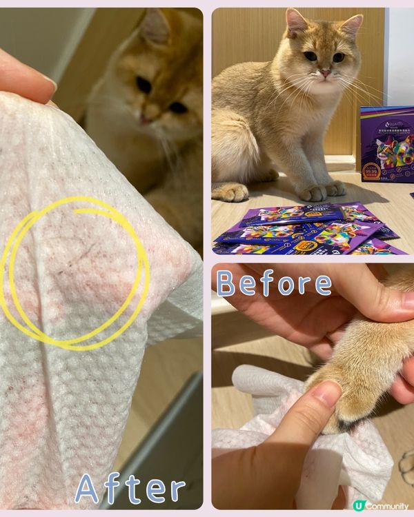 🏆傑出「毛」範生