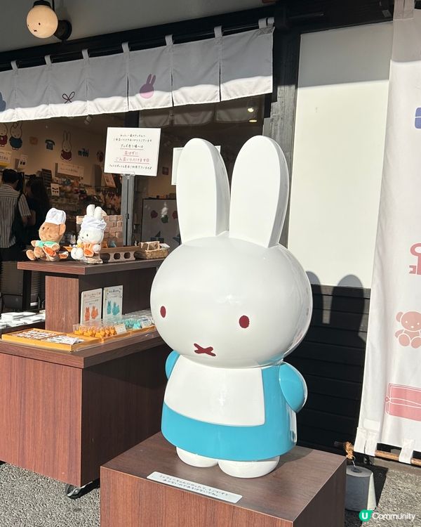 Miffy迷必去專賣店！🐰🤍
