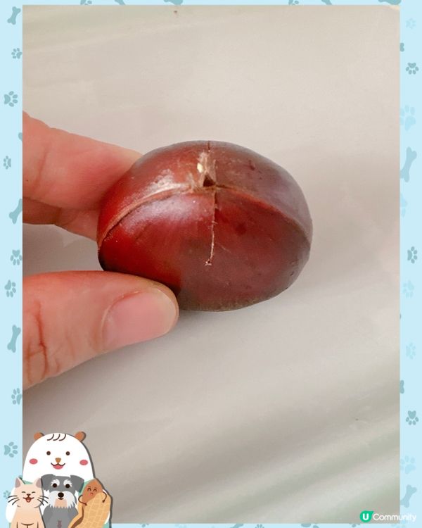 氣炸蜜糖 🌰子