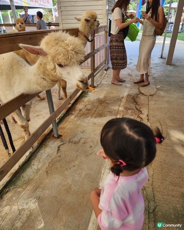 香港都可以同草泥馬影靚相