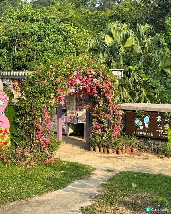 香港都可以同草泥馬影靚相