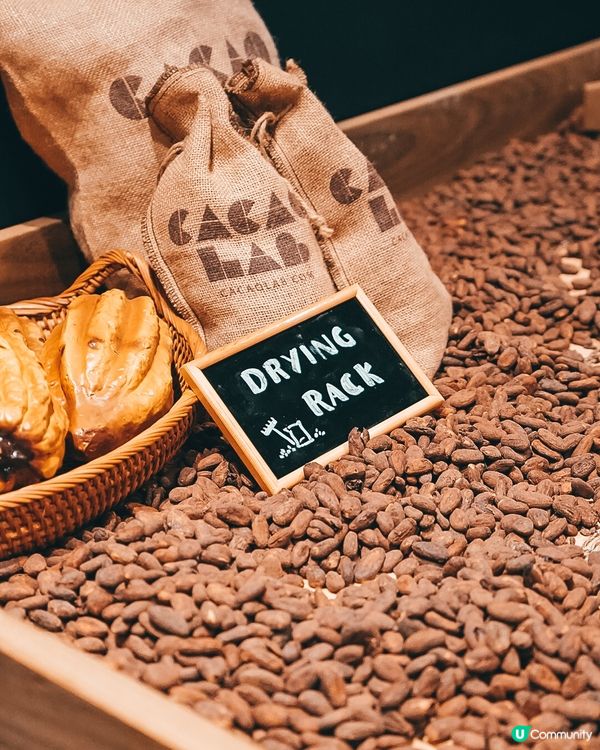 3層Cacaolab登陸銅鑼灣