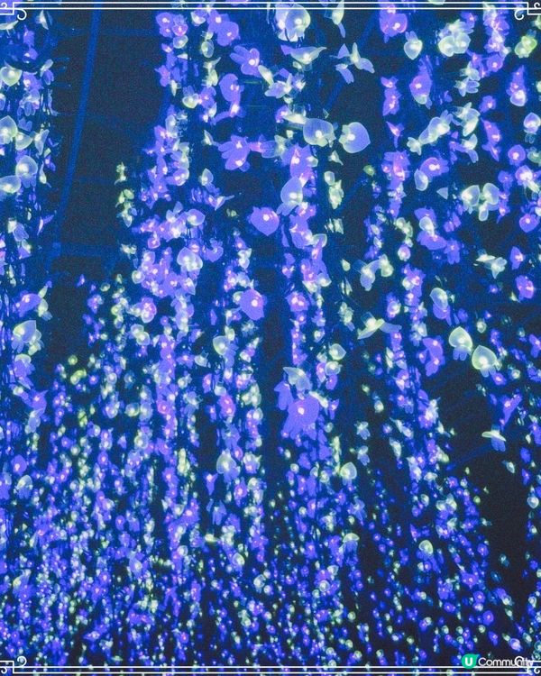 名古屋近郊晚上好去處