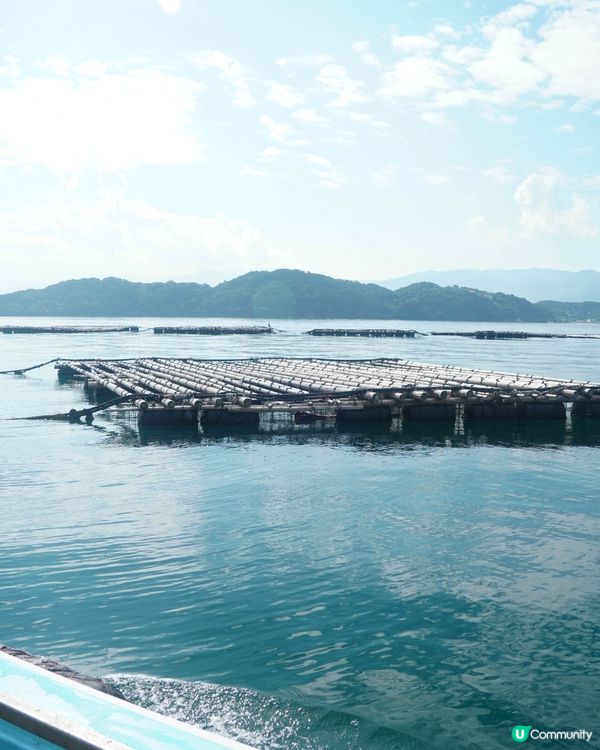 【日本有名牡蠣產地之一的糸島牡蠣養殖場】