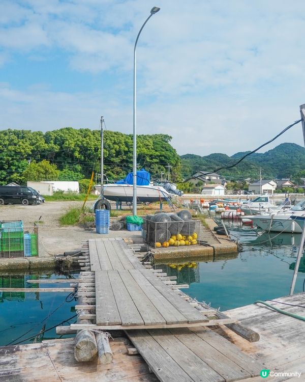 【日本有名牡蠣產地之一的糸島牡蠣養殖場】