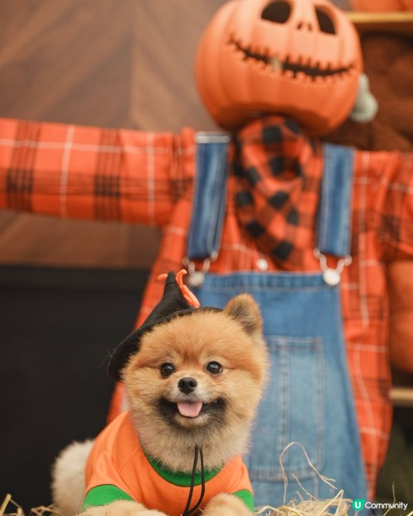 萬聖節打卡 @the mills