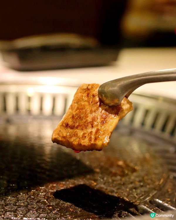 九龍城抵食龍蝦兩食