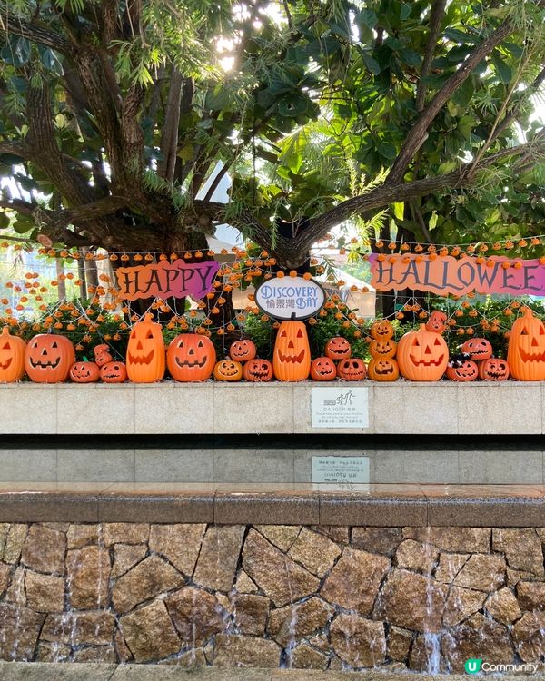 充滿哈佬喂的氣氛，真攪鬼