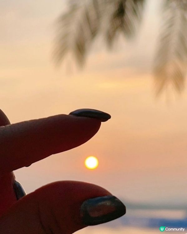 海洋公園哈囉喂