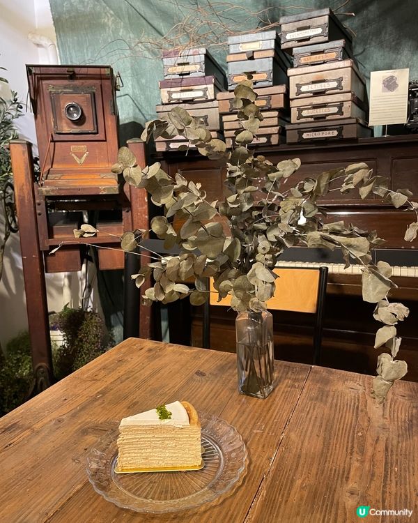 沉浸式體驗，享受療愈時光