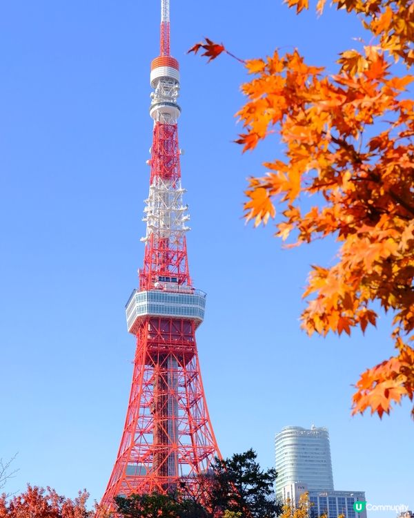 東京必去紅葉景點推介1️⃣