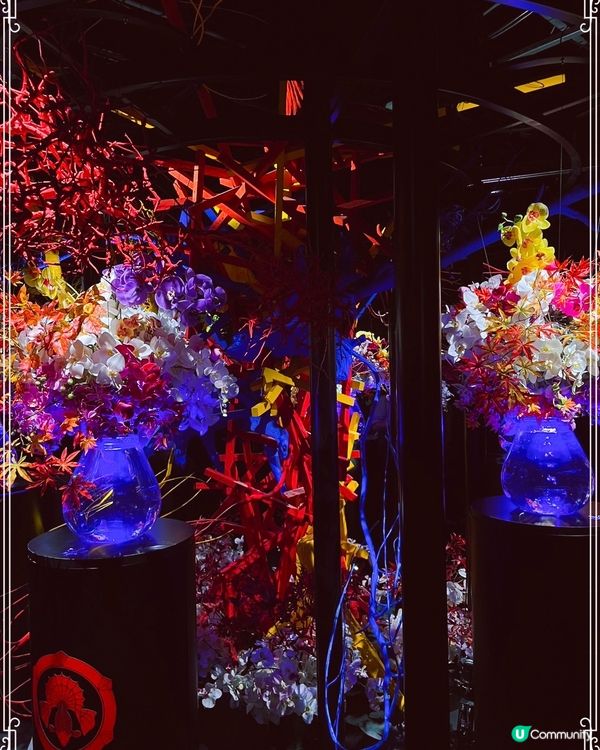 東京好靚嘅金魚水族館