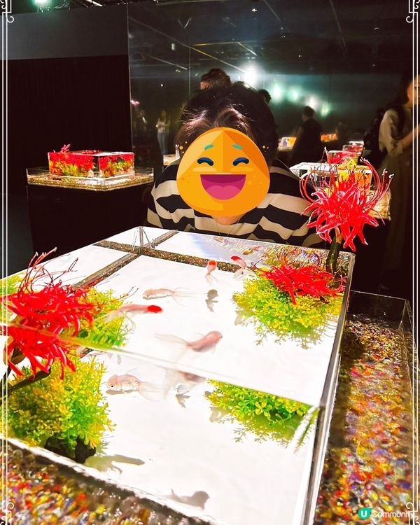 東京好靚嘅金魚水族館