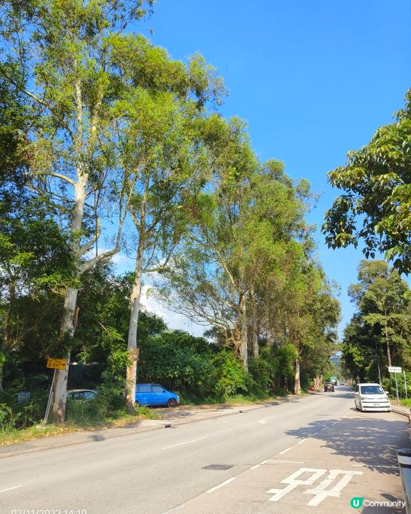 天高氣爽萊洞村