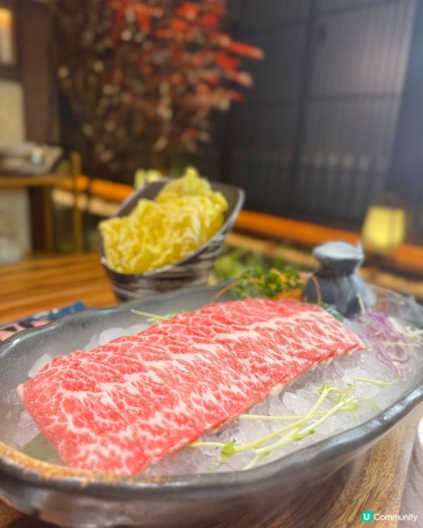 📍深圳探店｜女生必試花膠雞🫶🏻🩷