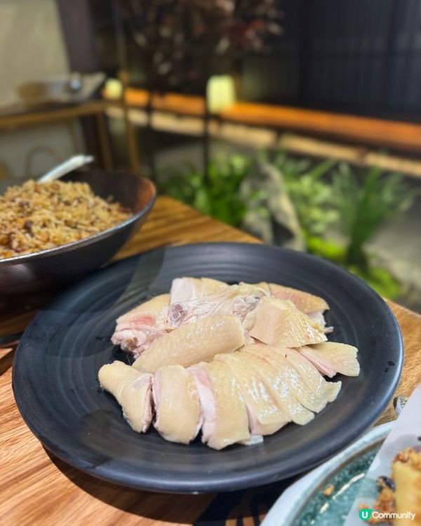 📍深圳探店｜女生必試花膠雞🫶🏻🩷