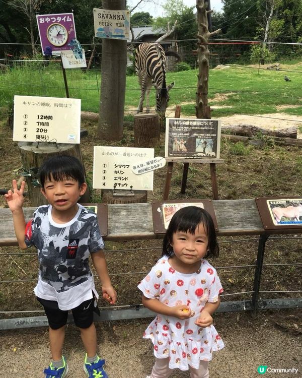 五日四夜，日本大阪親子行