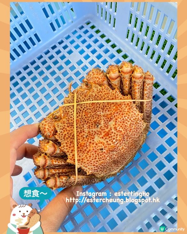 海邊老字號毛蟹專門店🦀 食現煮毛蟹