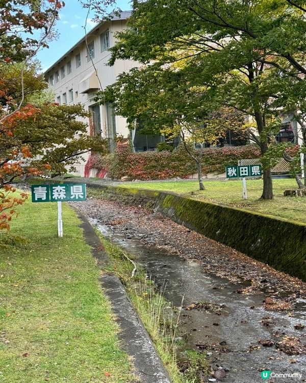 風景如畫，舒適👍